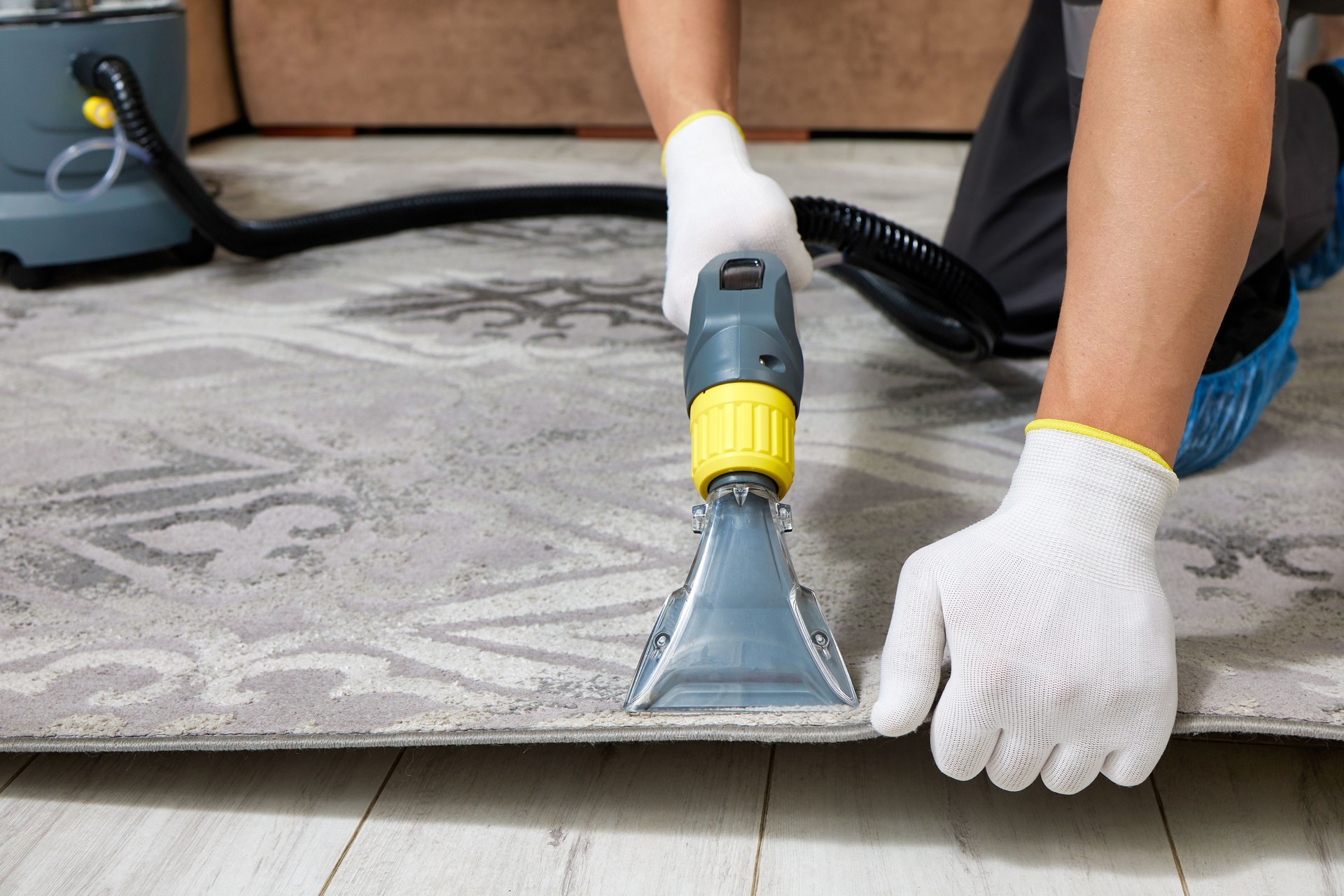 Professional carpet cleaning with vacuum cleaner in spacious living room interior