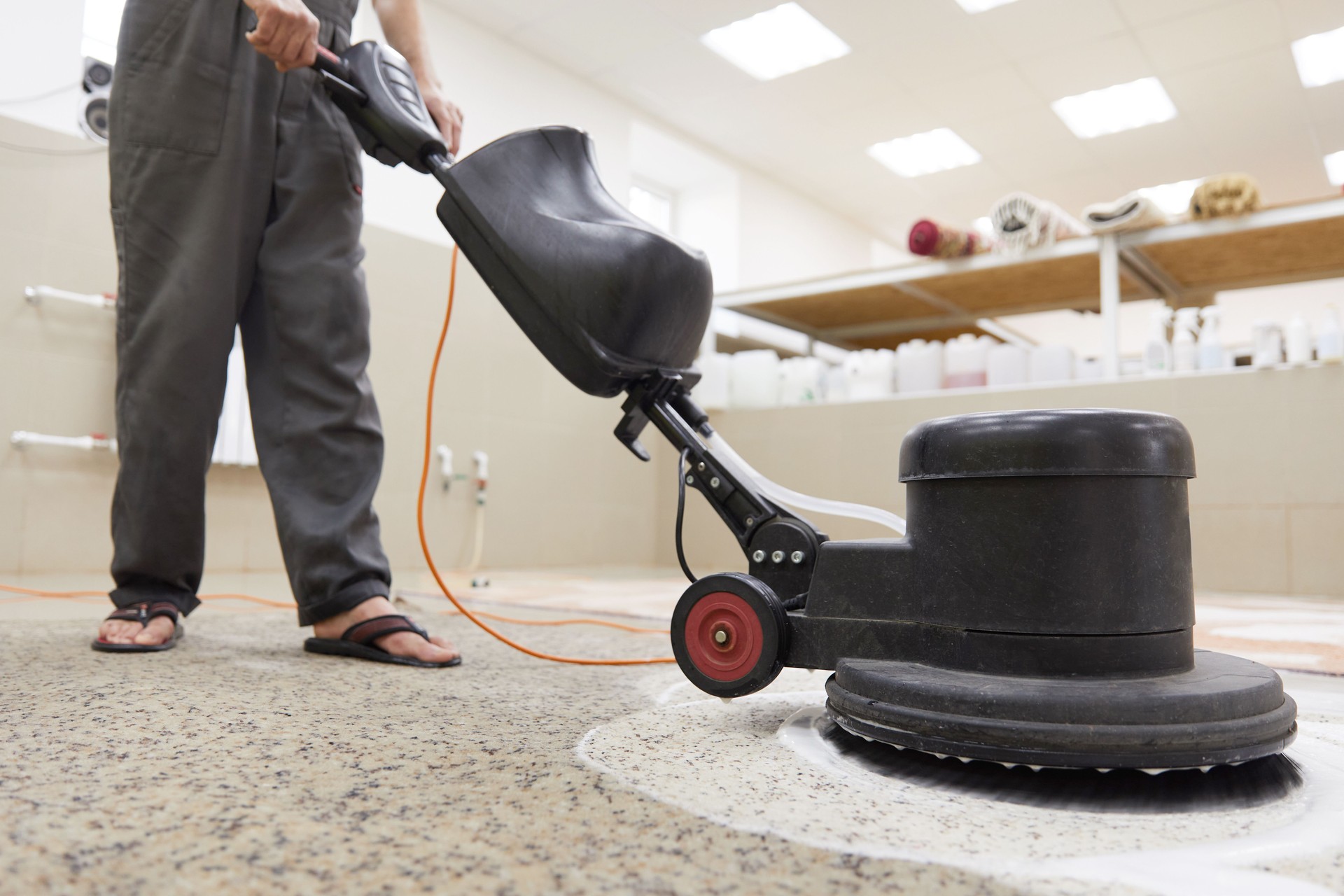 Carpet chemical cleaning with professionally disk machine. Early spring cleaning or regular clean up.